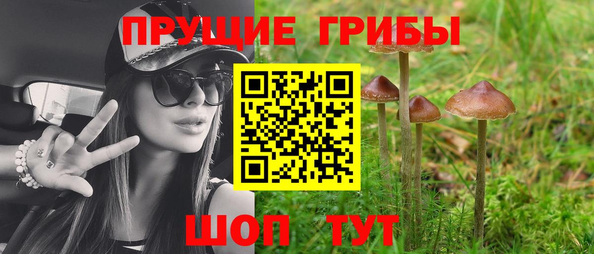 Псилоцибиновые грибы GOLDEN TEACHER  Вход с VPN  хочу   Кстово 