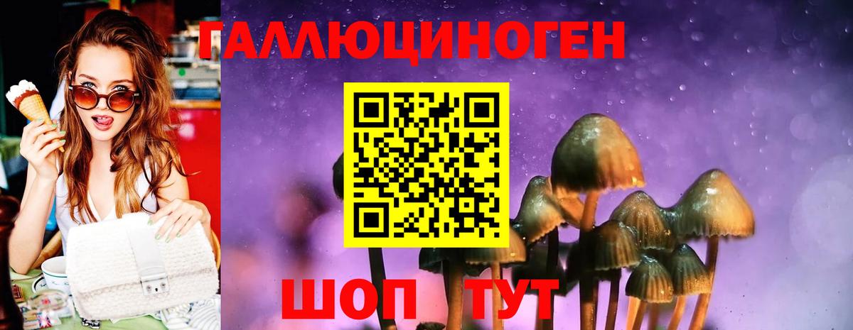 Псилоцибиновые грибы Cubensis Кстово